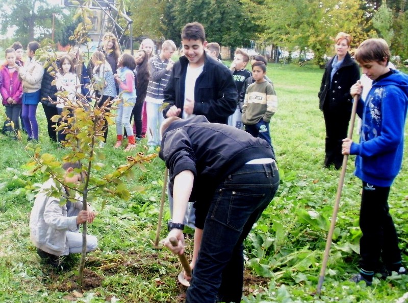 eTwinning tree campaign 2015